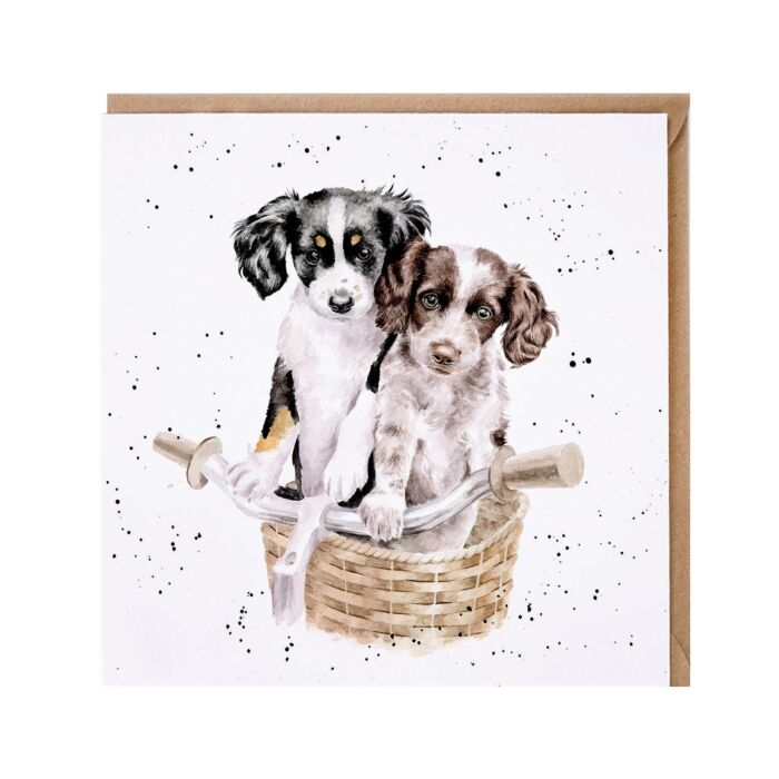 Wrendale Designs 'Paws and Pedals' Dog Card